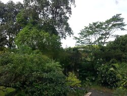 Cluny Road (D10), Detached #460731521